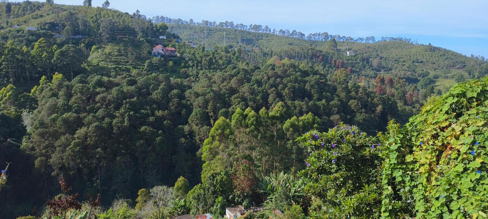 Highland Heaven Hotel Kodaikanal Luaran gambar